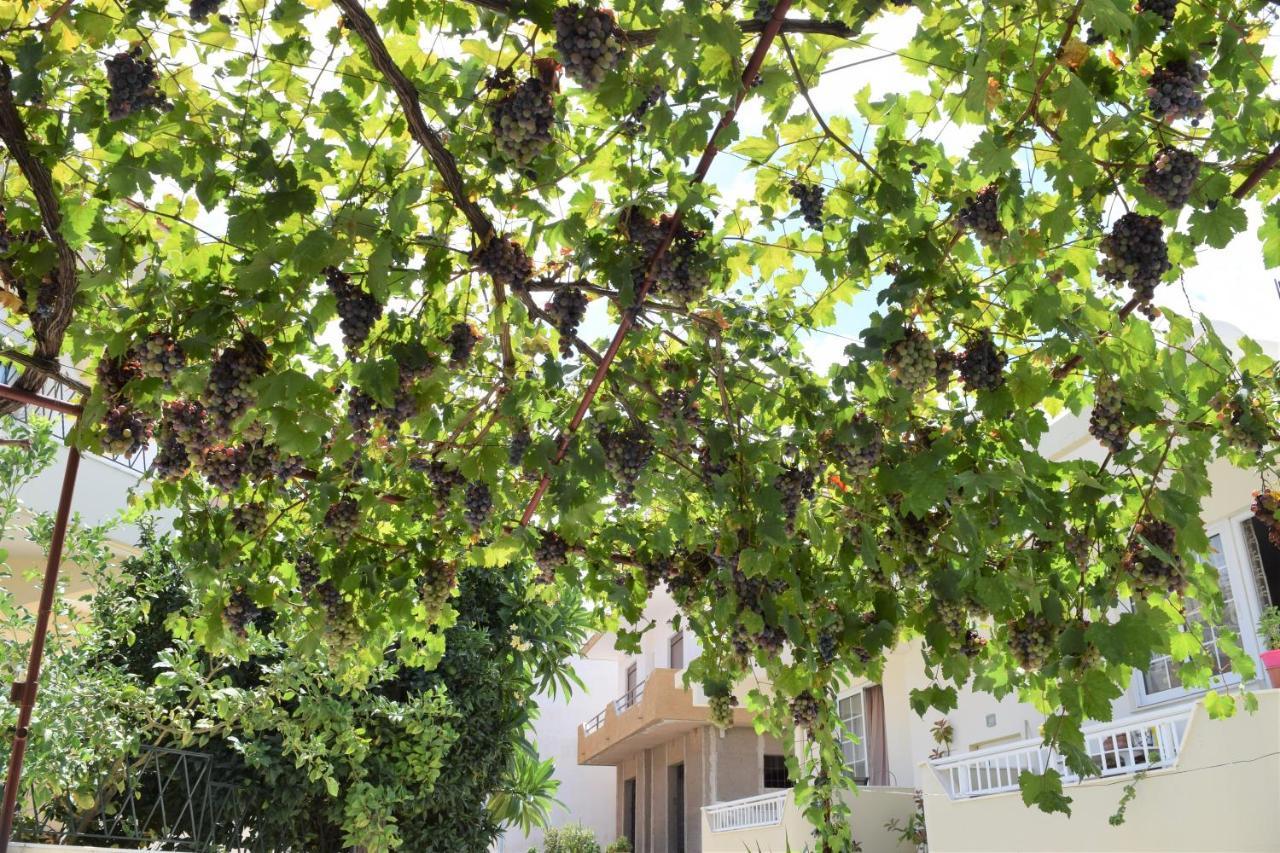 Village Home In Παραδείσι Εξωτερικό φωτογραφία